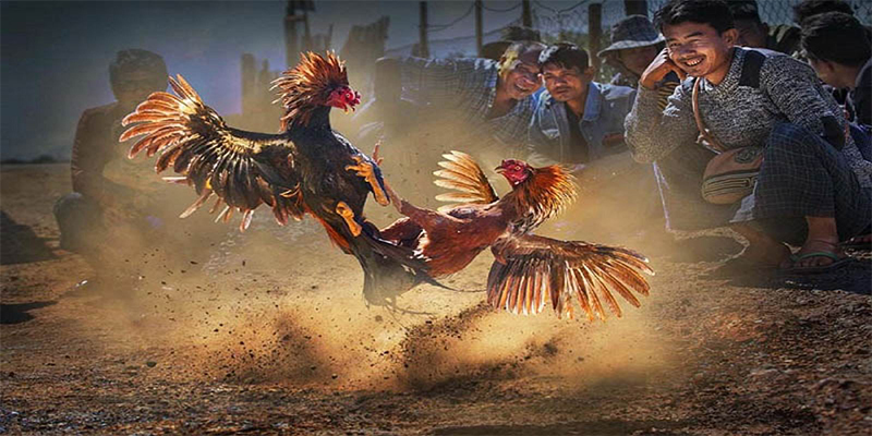 max vin xổ số bữa nay