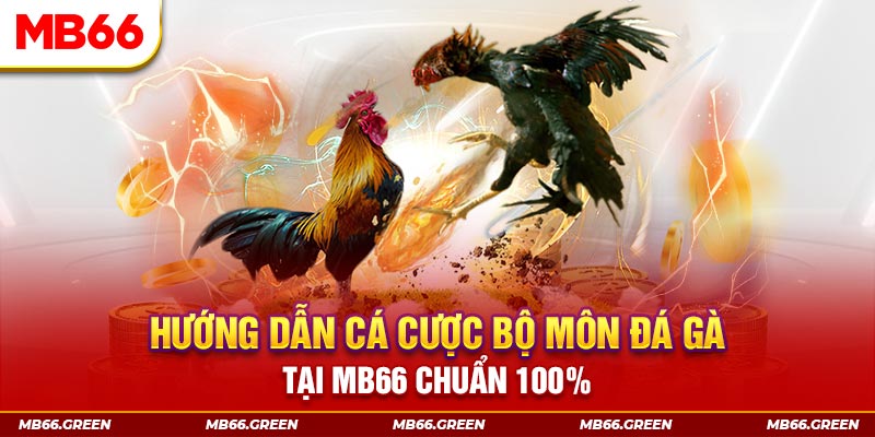 max vin slot là gi