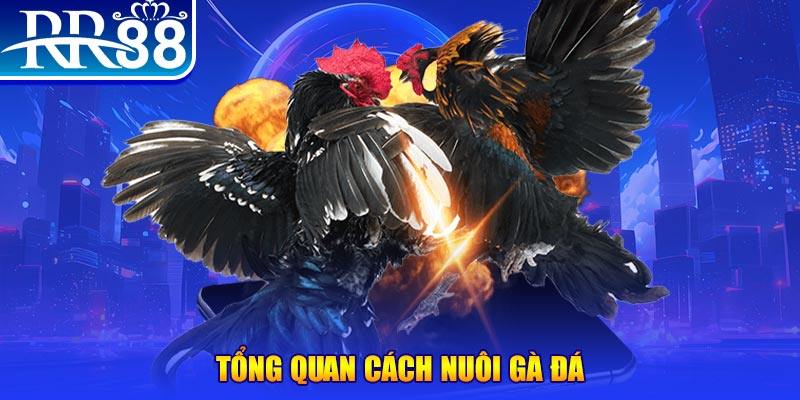 max vin game nổ hũ rút tiền mặt là gì