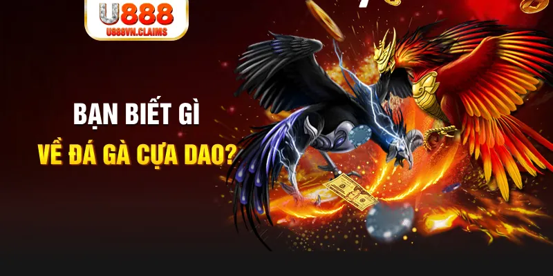 max vin SW Xổ Số