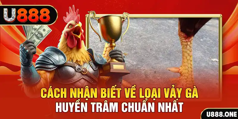 max vin đăng nhập nổ hũ số 1