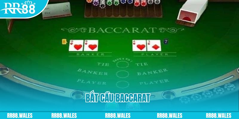 max vin what are the best online casino games