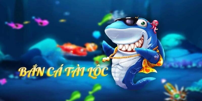max vin DB Trực Tuyến