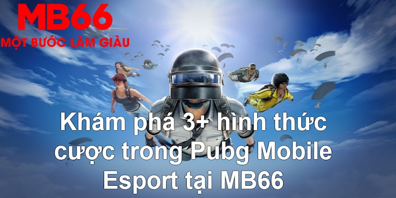max vin Tài Xỉu