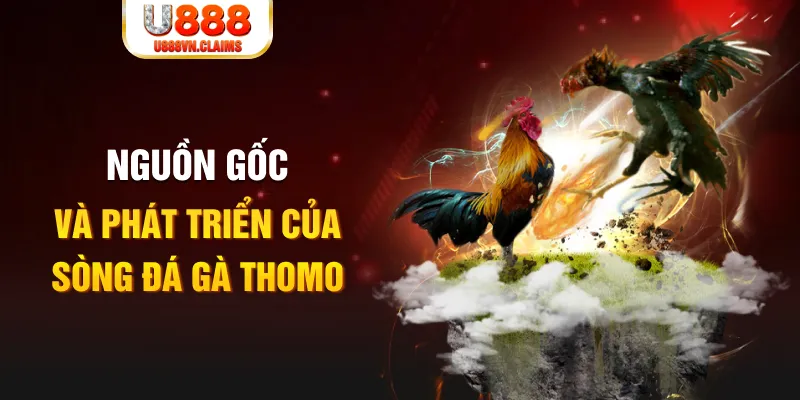 max vin baccarat online la gì