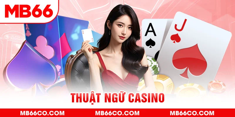 max vin gà chọi c1 mới nhất