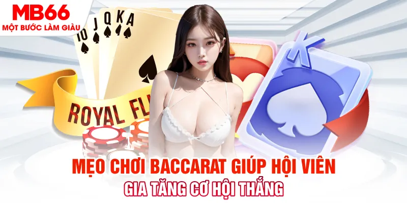 max vin đăng nhập nổ hũ trực tiếp