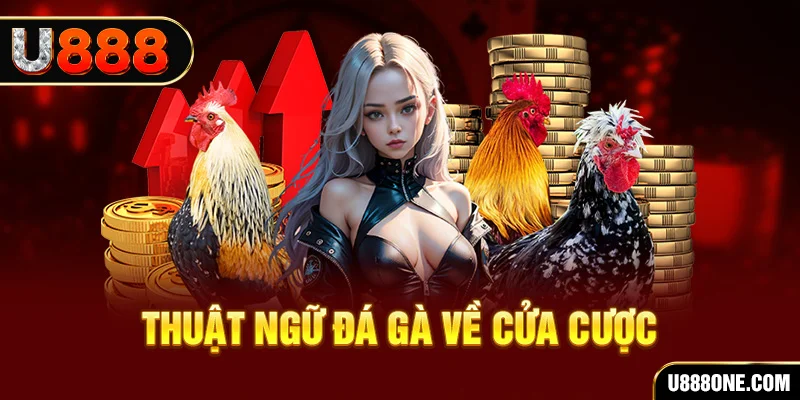 max vin hơn cả bạn bè
