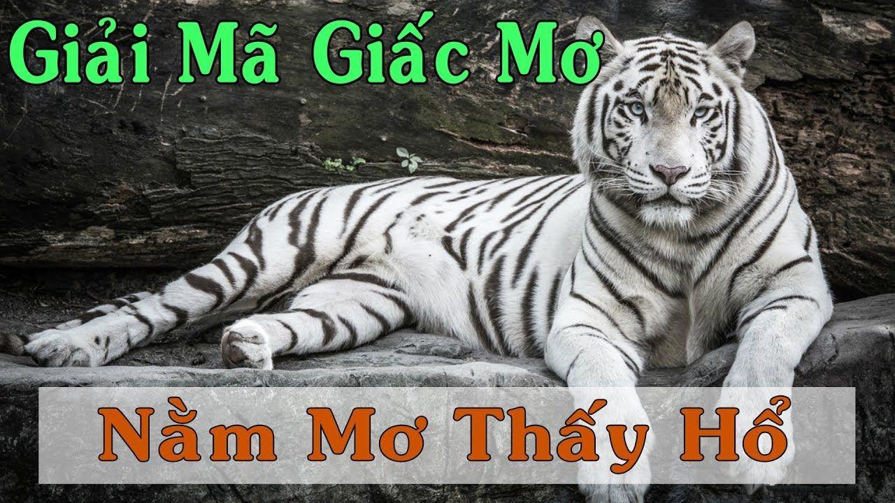 max vin nổ hũ là game gì