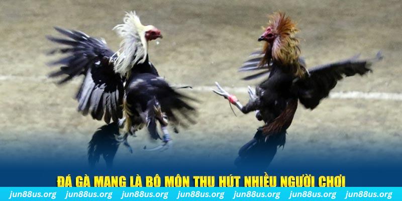 max vin nổ hủ nghĩa là gì