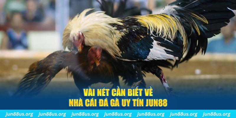 max vin đăng nhập phỏm khuyến mãi