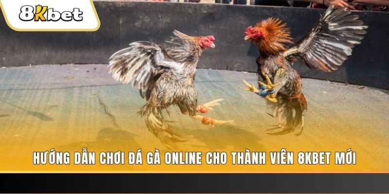 max vin JILI Game Bài 3d