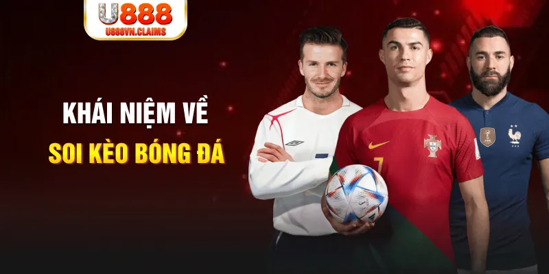 max vin xổ số cần thơ