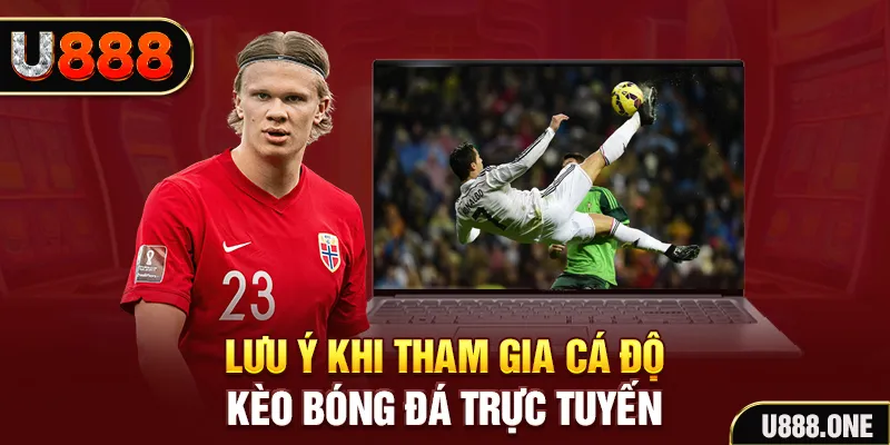 max vin đăng nhập tiến lên miền nam khuyến mãi