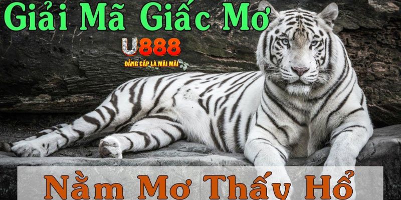 max vin xổ số miền bắc xổ số miền bắc