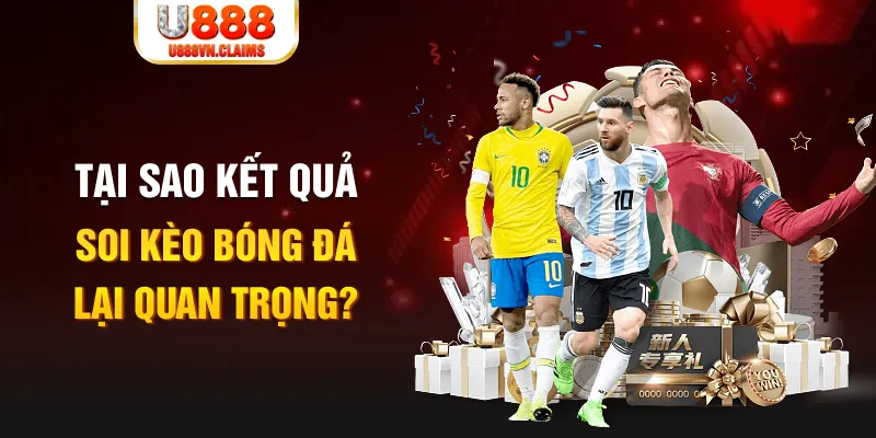 max vin Tôm Cua Cá 2