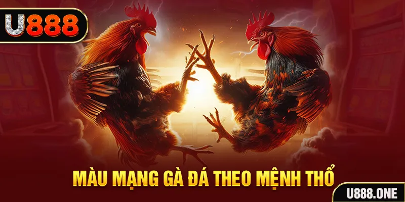 max vin ban ca xeng 2