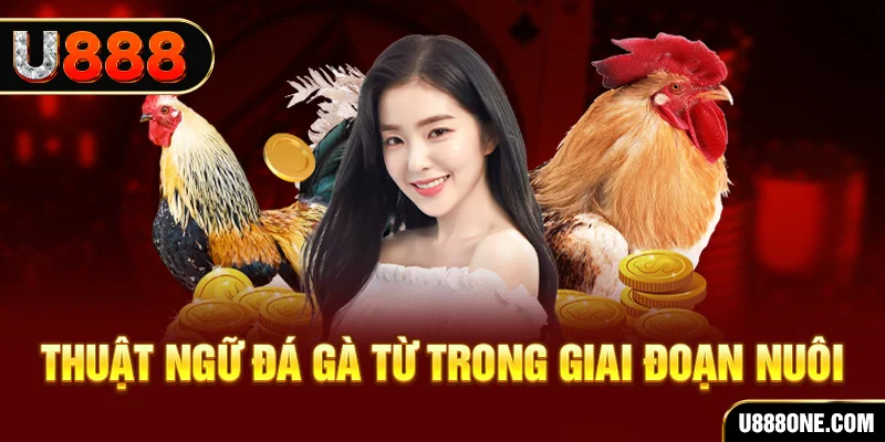 max vin xổ số miền bắc 90 ngày