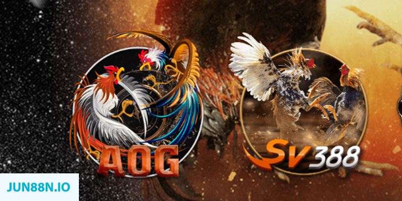max vin “natural” trong baccarat nghĩa là gì？