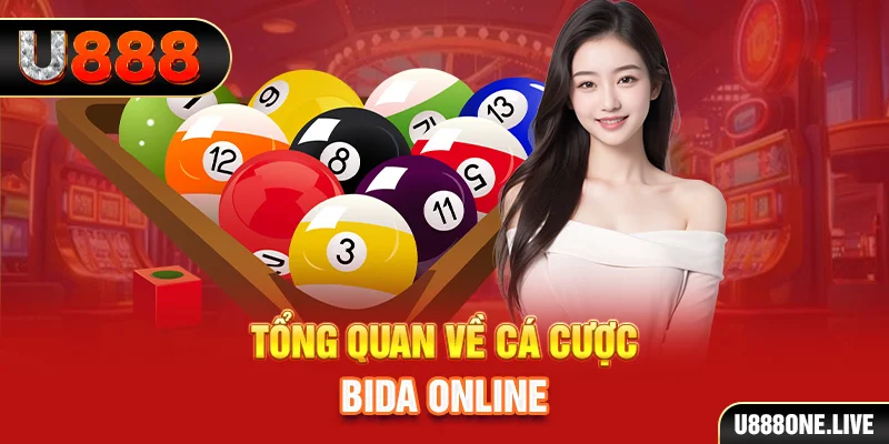 max vin kết quả xổ số kiến thiết miền bắc