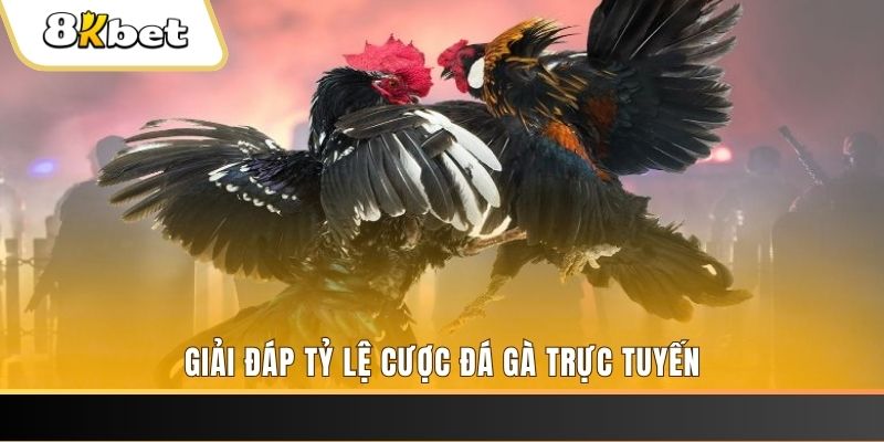 max vin ga choi cau thanh