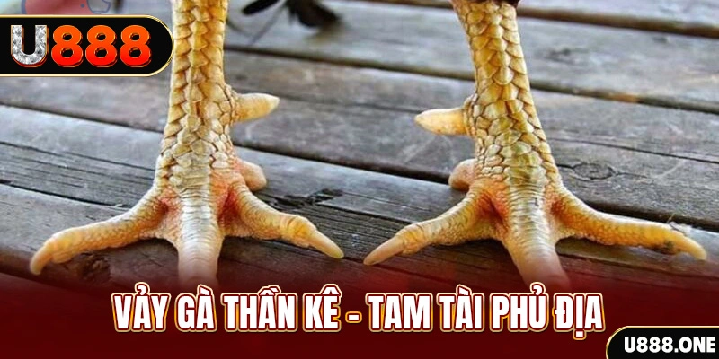 max vin xổ số miền trung thứ hai hàng tuần