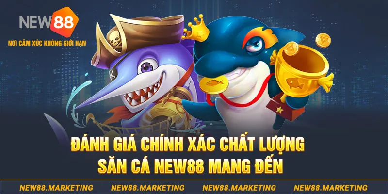 max vin đăng nhập mậu binh mới nhất