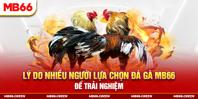 max vin tai game danh bai tien len mien nam ve may tinh