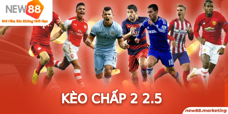 max vin baccarat có bịp không