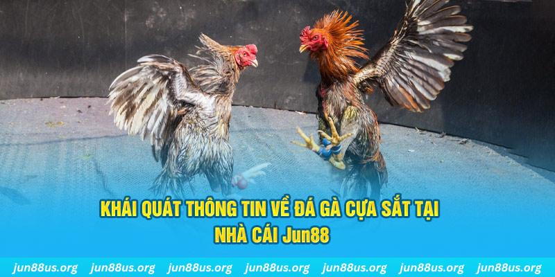 max vin xổ số miền bắc thứ bảy hàng tuần
