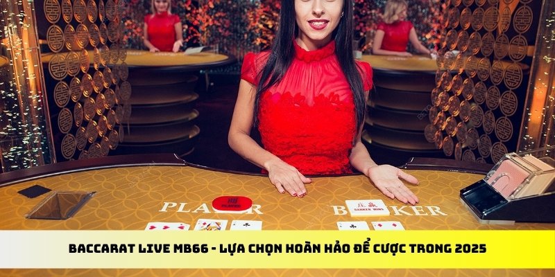 max vin đăng nhập tiến lên miền nam 2024