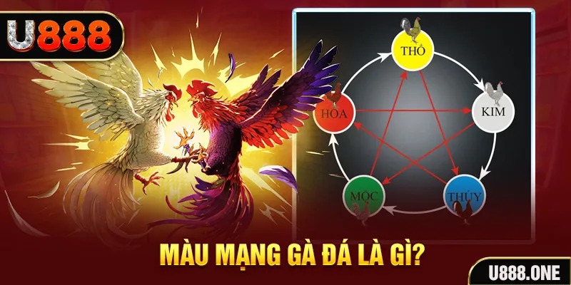 max vin xổ số miền trung thứ tư hàng tuần