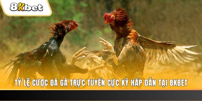 max vin đăng nhập nổ hũ trực tuyến