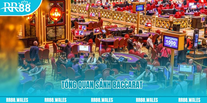 max vin đăng nhập roulette