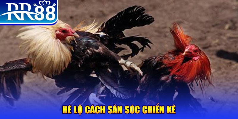 max vin xổ số miền trung thứ tư