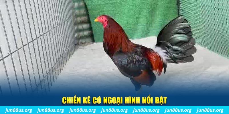 max vin game bắn cá