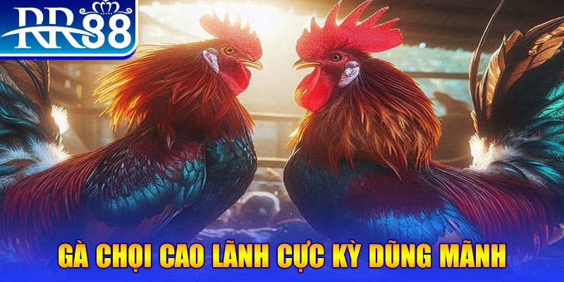 max vin HB Điện Tử