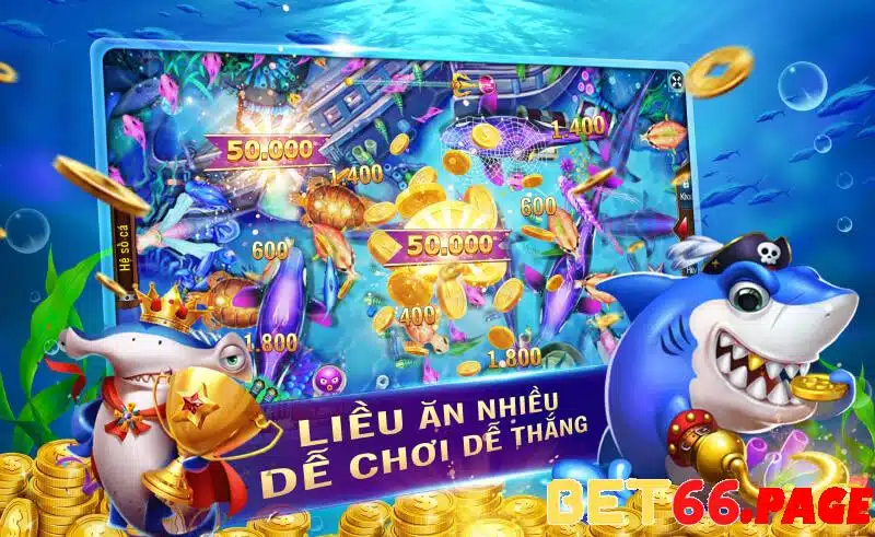 max vin 1 slot là gì