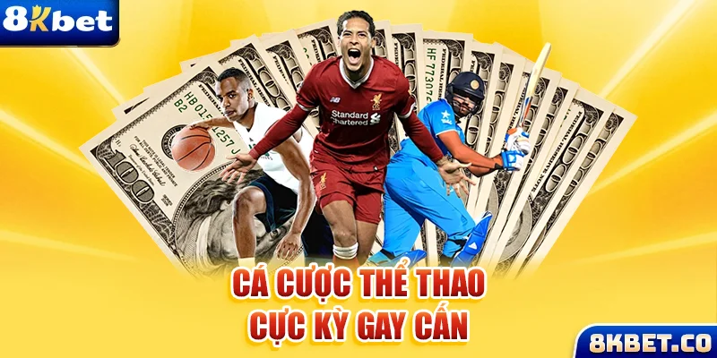 max vin xem đá gà trực tiếp